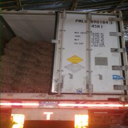 Kaushik Agri Exports